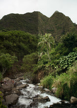 Load image into Gallery viewer, Lifestyle Mobile Pack