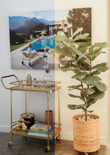 Load image into Gallery viewer, Polaroid Mobile Pack