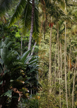 Load image into Gallery viewer, Polaroid Desktop Pack